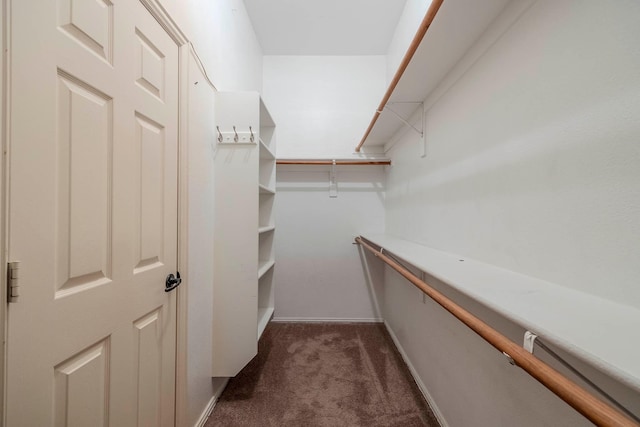 12315 Red Hawk Dr, Frisco, TX 75033 - walk in closet with dark colored carpet