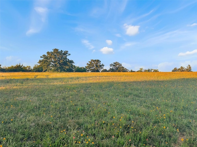 9150 Hwy 6, Cisco, TX 76437