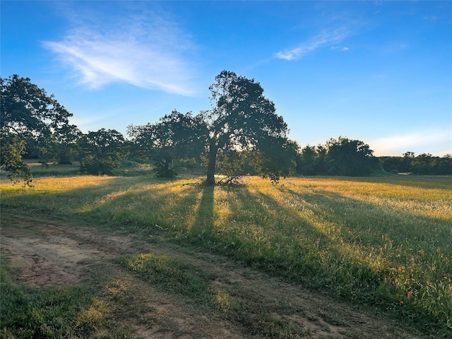 9150 Hwy 6, Cisco, TX 76437