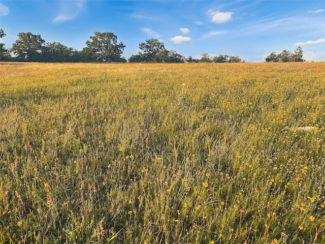 9150 Hwy 6, Cisco, TX 76437