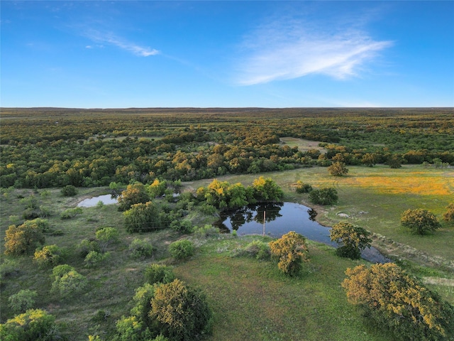 9150 Hwy 6, Cisco, TX 76437