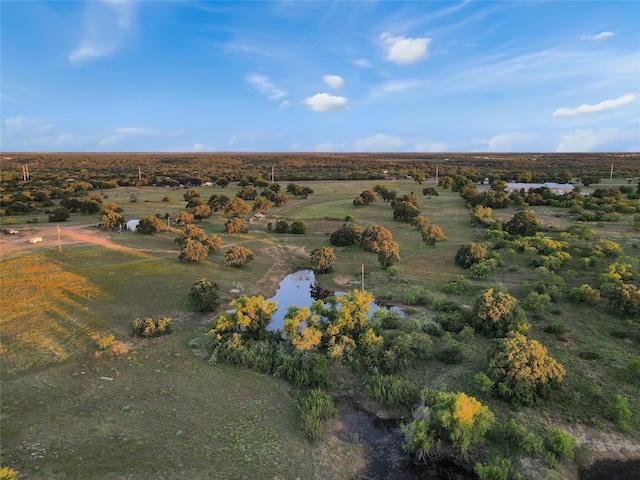 9150 Hwy 6, Cisco, TX 76437