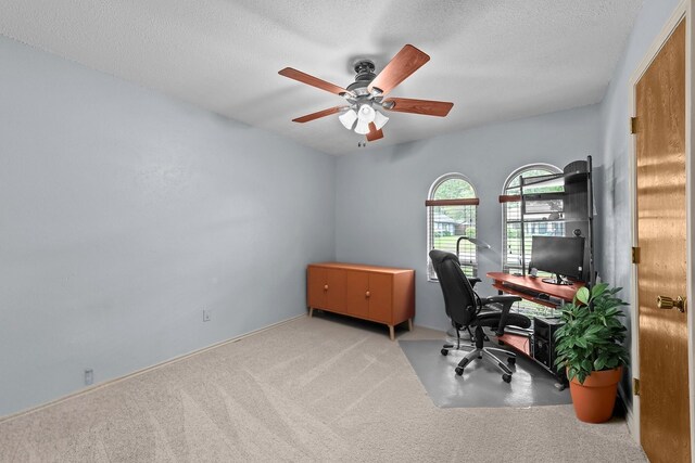 204 Glenwick Pl, Allen, TX 75013 - office featuring ceiling fan, carpet, and a textured ceiling