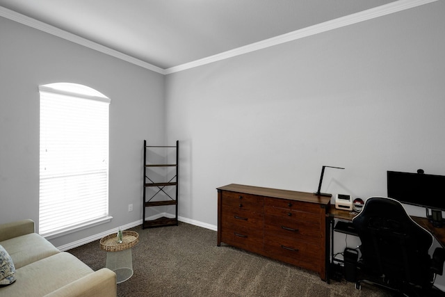 2806 Palmerston Dr, Midlothian, TX 76065 - office with crown molding, dark colored carpet, and baseboards
