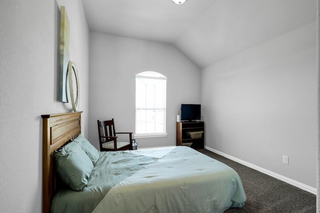 2806 Palmerston Dr, Midlothian, TX 76065 - carpeted bedroom with baseboards and lofted ceiling