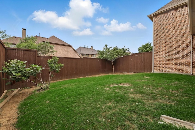 4219 Bal Harbour Ln, Frisco, TX 75033 - view of yard