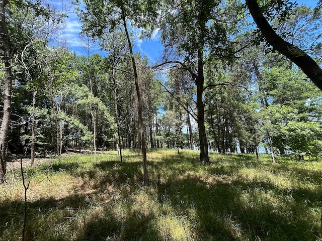LOTTR5B Stevenson Rd, Frankston, TX 75763