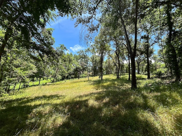 LOTTR5B Stevenson Rd, Frankston, TX 75763