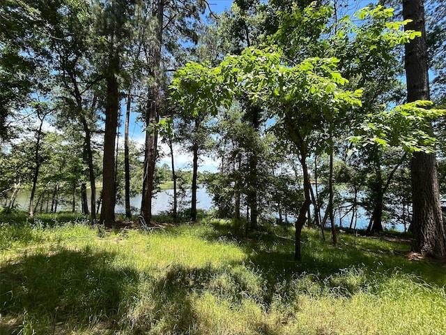 LOTTR5B Stevenson Rd, Frankston, TX 75763