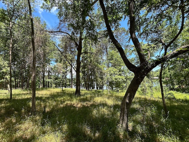 LOTTR5B Stevenson Rd, Frankston, TX 75763