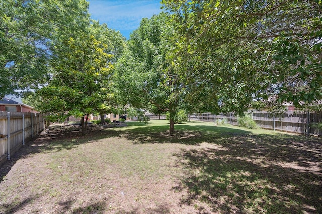 8408 Island Ct, Fort Worth, TX 76137 - view of yard
