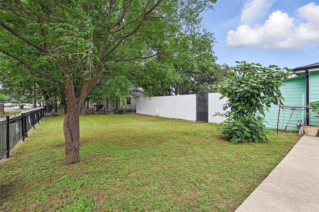11514 Oakfield Dr, Balch Springs, TX 75180 - view of yard