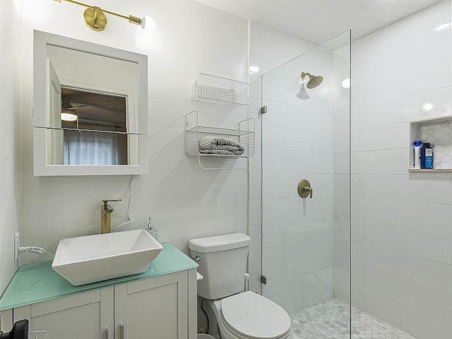 3146 Oak Hill Rd, Carrollton, TX 75007 - bathroom with vanity, walk in shower, and toilet
