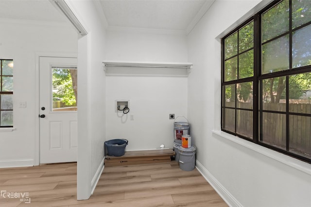 123 Carrollton Ave, Shreveport, LA 71105 - laundry room with hookup for an electric dryer, ornamental molding, light wood finished floors, hookup for a washing machine, and baseboards