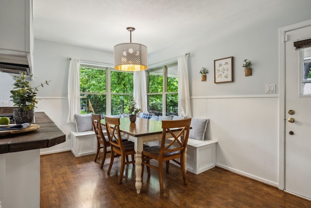 4309 Bilglade Rd, Fort Worth, TX 76109 - dining area with dark wood-style flooring and a wainscoted wall