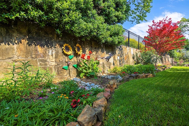 414 Long Cove Dr, Fairview, TX 75069 - view of yard