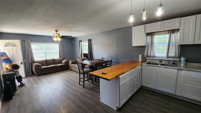 809 Bowie St, Sweetwater, TX 79556 - kitchen with a sink, wooden counters, a peninsula, open floor plan, and plenty of natural light