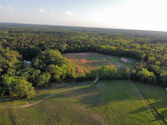 437 County Road 3190, Winnsboro, TX 75494 - view of property location featuring a heavily wooded area