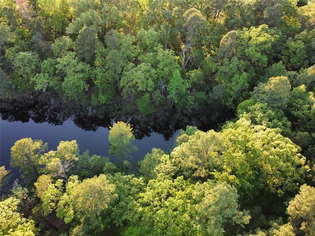 437 County Road 3190, Winnsboro, TX 75494 - aerial view of a forest and a nearby body of water