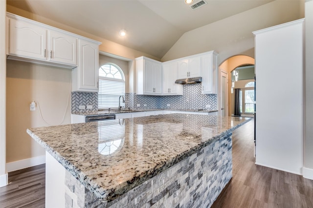 2828 Pino, Grand Prairie, TX 75054 - kitchen with arched walkways, under cabinet range hood, white cabinetry, light stone countertops, and lofted ceiling