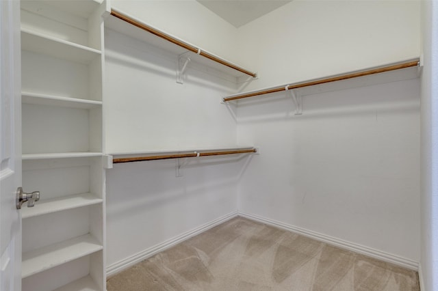 2828 Pino, Grand Prairie, TX 75054 - spacious closet with light colored carpet