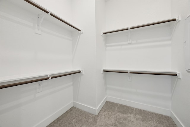 1028 Cavour Pl, Dallas, TX 75204 - walk in closet with light colored carpet