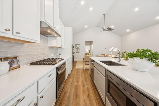 1028 Cavour Pl, Dallas, TX 75204 - kitchen with stainless steel appliances, under cabinet range hood, light wood-type flooring, light countertops, and lofted ceiling