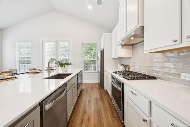 1028 Cavour Pl, Dallas, TX 75204 - kitchen featuring stainless steel appliances, under cabinet range hood, lofted ceiling, light countertops, and backsplash