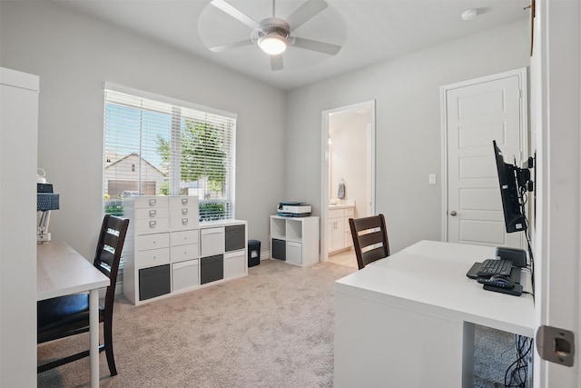 3904 Purple Sage Dr, Aubrey, TX 76227 - office featuring a ceiling fan and light carpet