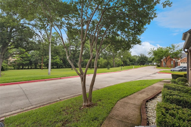422 Arbor Creek Dr, Euless, TX 76039 - view of concrete road featuring curbs, sidewalks, view of wooded area, and street lights