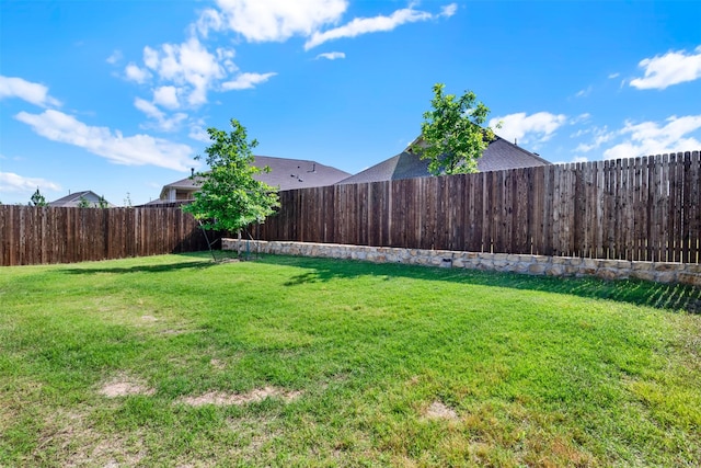 511 Poplar St, Princeton, TX 75407 - view of yard