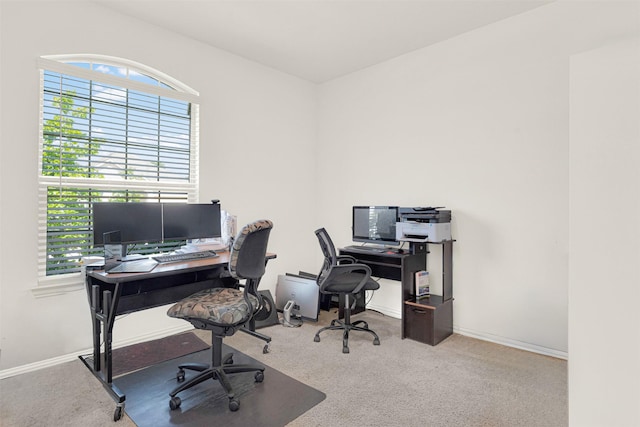 511 Poplar St, Princeton, TX 75407 - office space featuring carpet flooring and baseboards