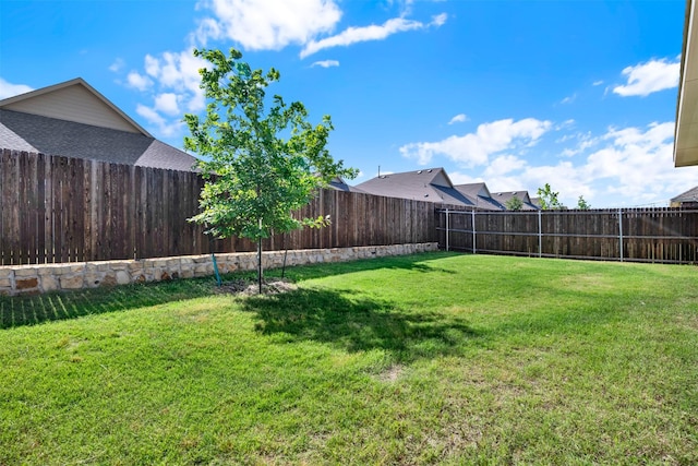 511 Poplar St, Princeton, TX 75407 - view of yard