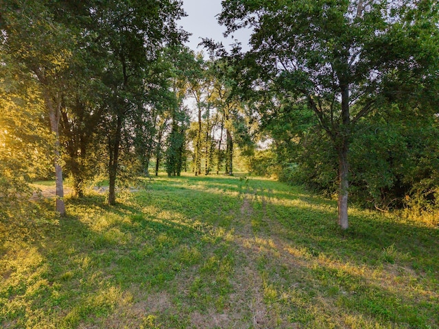 1343 Buster Chatham Rd, Waco, TX 76705 - view of yard