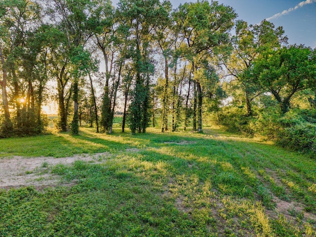 1343 Buster Chatham Rd, Waco, TX 76705 - view of yard