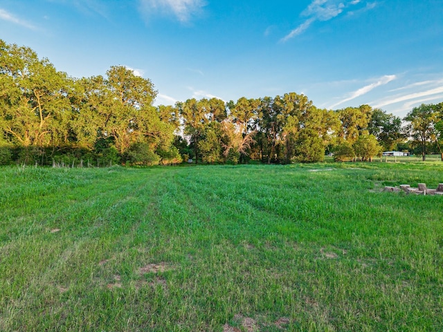 1343 Buster Chatham Rd, Waco, TX 76705 - view of yard