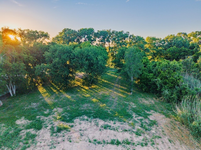 1343 Buster Chatham Rd, Waco, TX 76705 - view of local wilderness