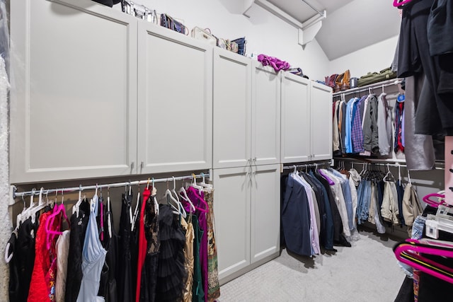 317 Mcconathy Way, Flower Mound, TX 75028 - spacious closet with carpet