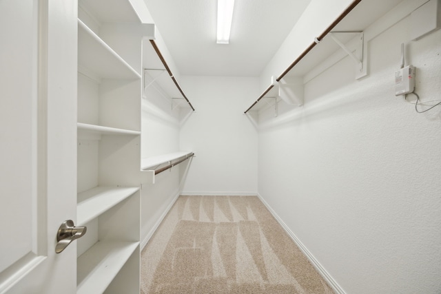 1901 Brahorn Ln, Fort Worth, TX 76131 - spacious closet with carpet