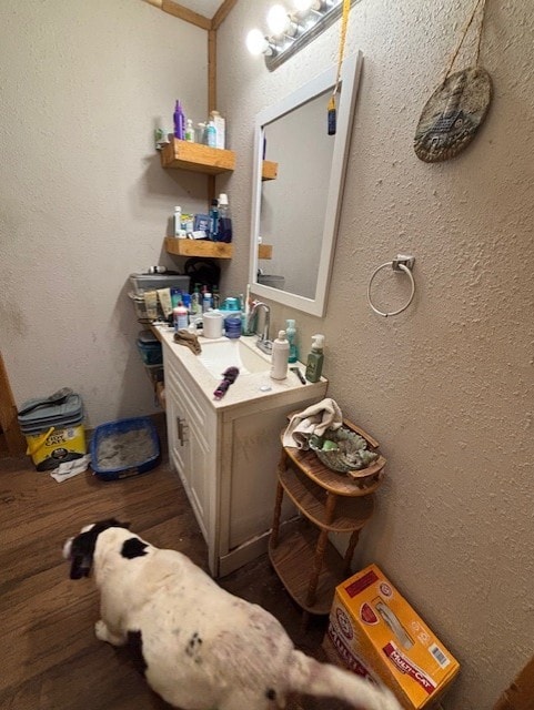 4132 Fm 546, Princeton, TX 75407 - bathroom with wood finished floors and vanity