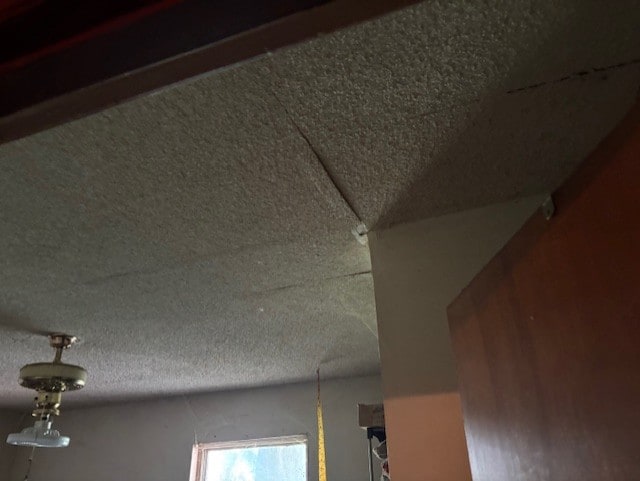 4132 Fm 546, Princeton, TX 75407 - detailed view of a textured ceiling