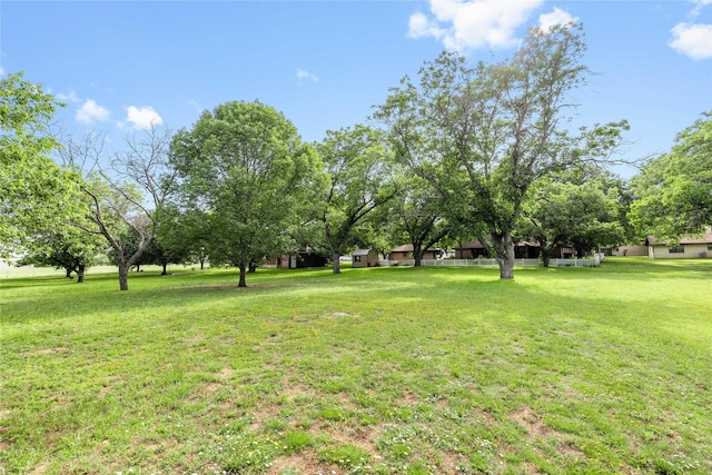 1025 S Lamar St, De Leon, TX 76444 - view of yard
