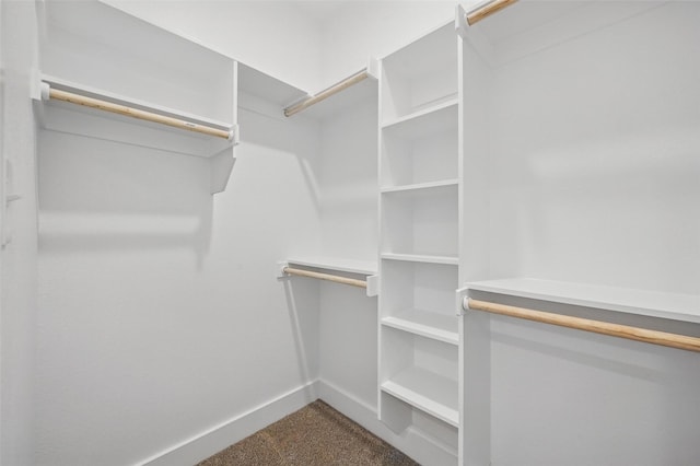 2738 W Washington St, Denison, TX 75020 - spacious closet with dark carpet