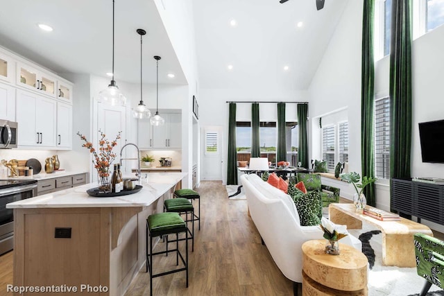 8409 Peach St, Justin, TX 76247 - kitchen featuring stainless steel appliances, healthy amount of natural light, high vaulted ceiling, light wood finished floors, and recessed lighting