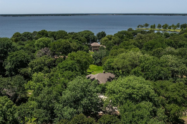 120 Royalwood Dr, Mabank, TX 75156 - aerial view of a nearby body of water