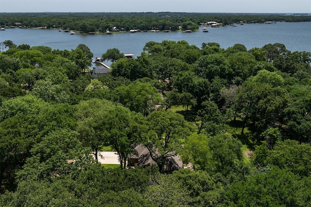 120 Royalwood Dr, Mabank, TX 75156 - aerial view of property's location featuring a large body of water and a forest
