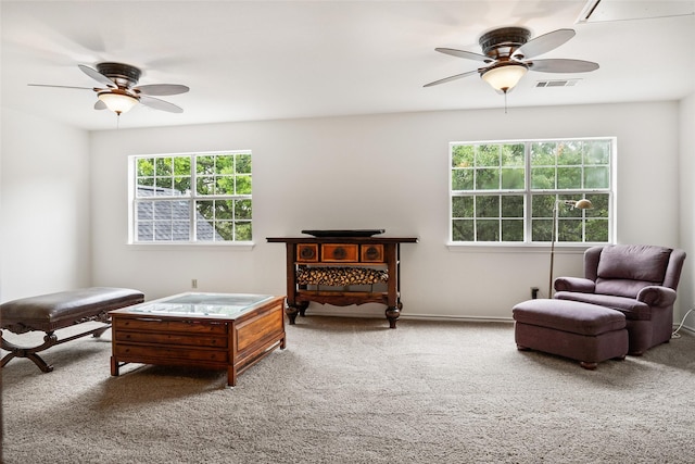 6815 Fm 1830, Argyle, TX 76226 - living area featuring ceiling fan, plenty of natural light, and carpet floors