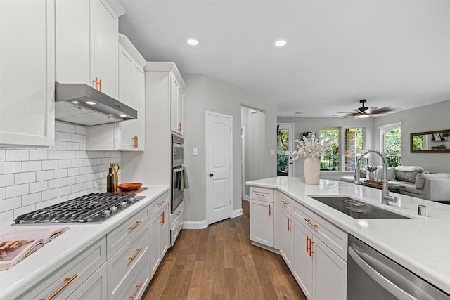7885 Hickory Branch Dr, Frisco, TX 75034 - kitchen featuring stainless steel appliances, a sink, under cabinet range hood, light countertops, and recessed lighting
