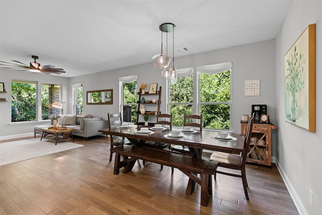 7885 Hickory Branch Dr, Frisco, TX 75034 - dining room with wood finished floors, a ceiling fan, and baseboards