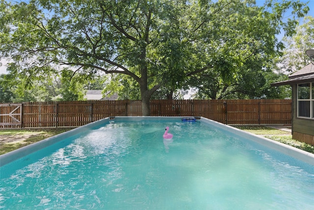 8700 Fm 920, Peaster, TX 76088 - view of swimming pool featuring a fenced backyard